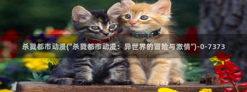 动漫免费看:杀戮都市动漫(\